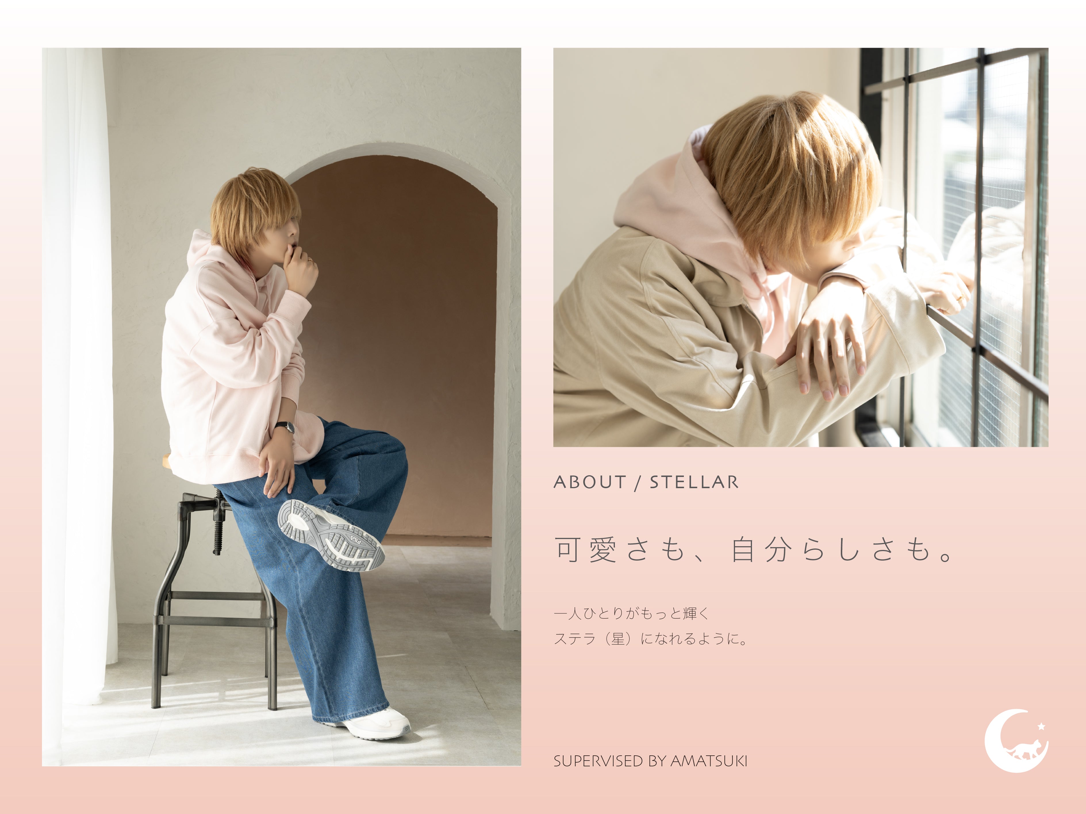 STELLAR store