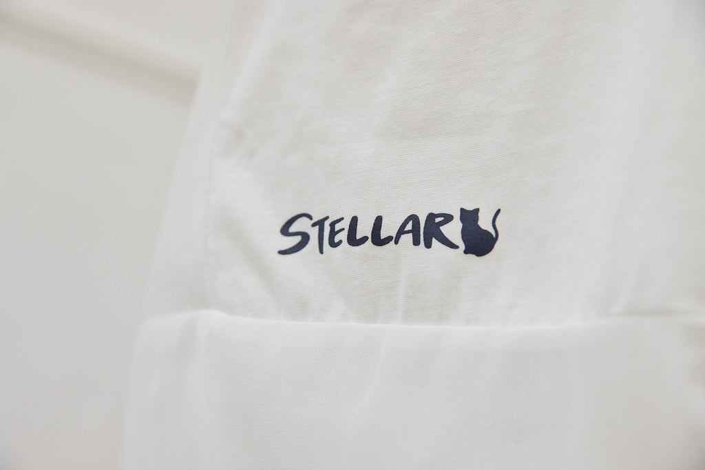 シフォンTシャツ